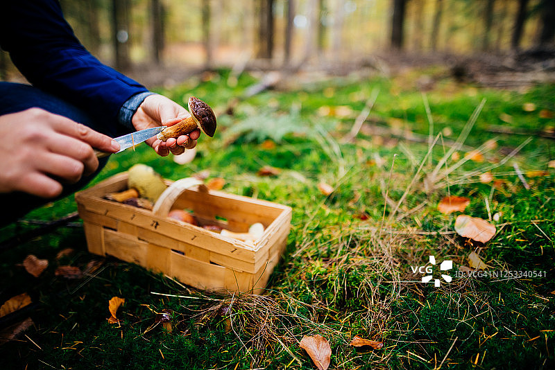 女人在森林里发现一个大斗篷蘑菇图片素材