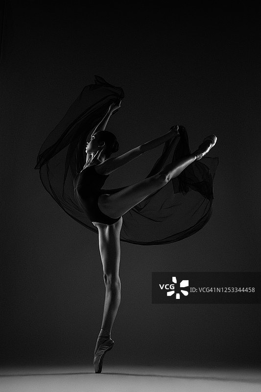 身穿透明薄纱裙的美丽芭蕾舞演员图片素材