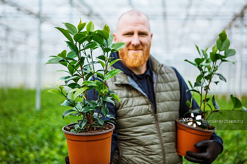温室工作的男人图片素材