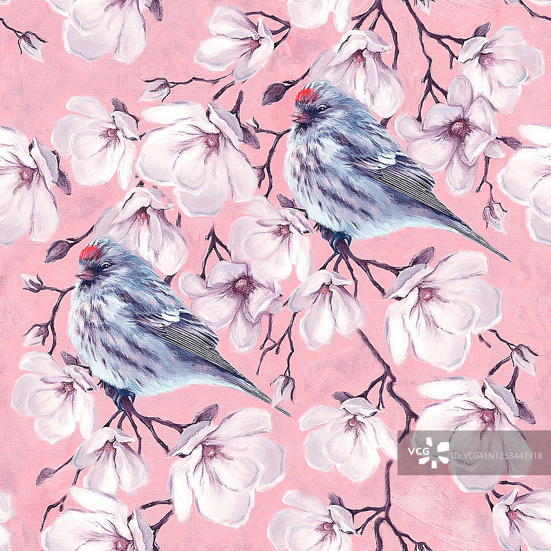 玉兰花枝上的小鸟，无缝图案美术数字油画图片素材