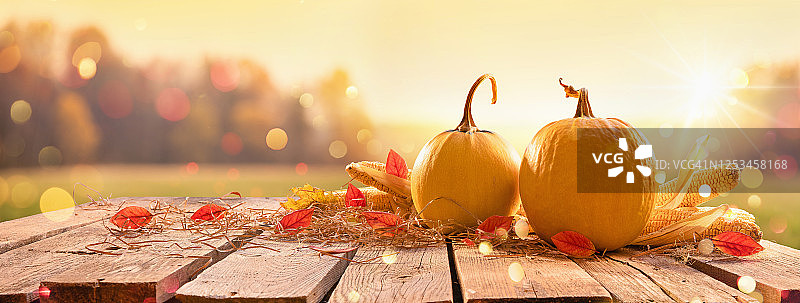 感恩节快乐背景图片素材