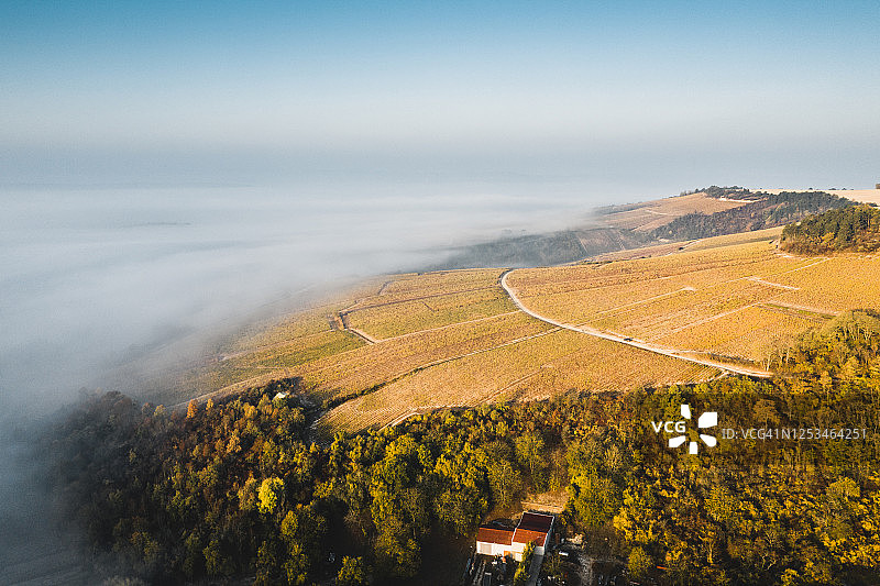 航拍法国伊朗西葡萄园的雾蒙蒙的早晨图片素材
