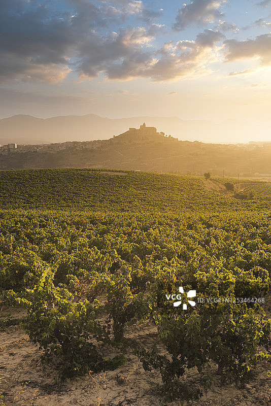 西班牙里奥哈的葡萄园图片素材