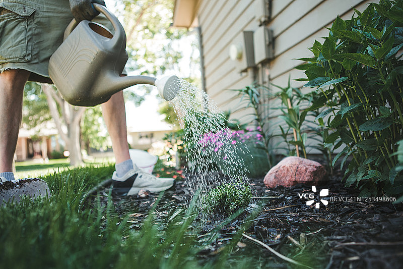 男子浇灌花园图片素材
