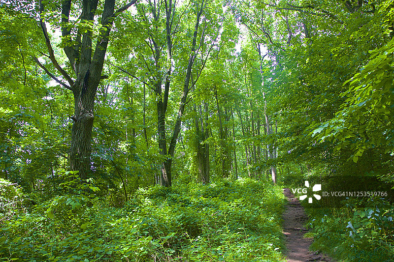 恩格尔伍德的平岩溪自然保护区图片素材