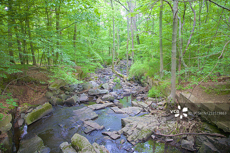恩格尔伍德，帕利塞兹森林的平石溪图片素材