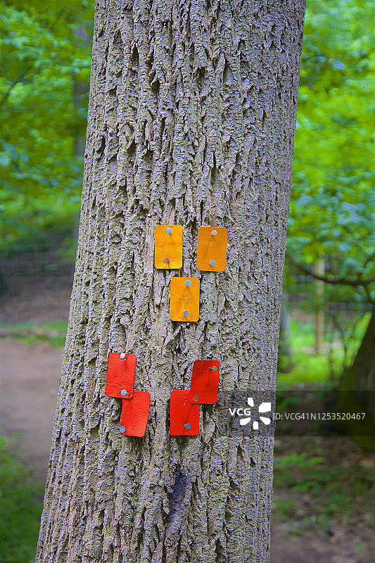 恩格尔伍德平石溪自然保护区中形成笑脸的火焰图片素材