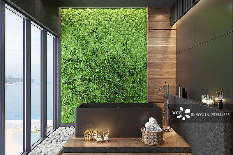 带哑光黑色瓷砖和绿色苔藓植物墙的奢华现代家庭水疗浴室图片素材