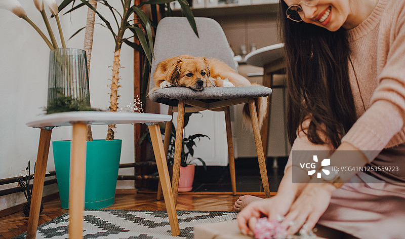 女人包装环保礼物图片素材