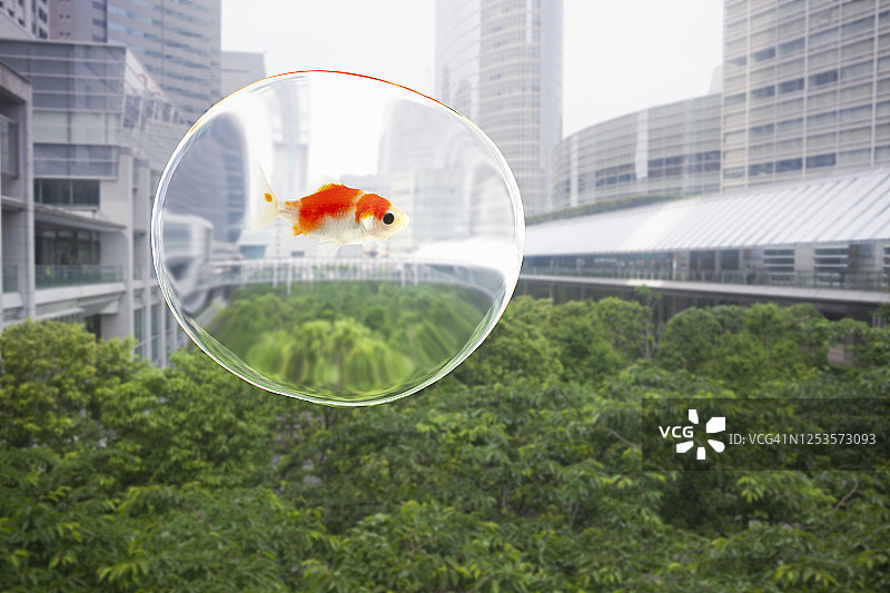 水滴金鱼漂浮城市花园图片素材
