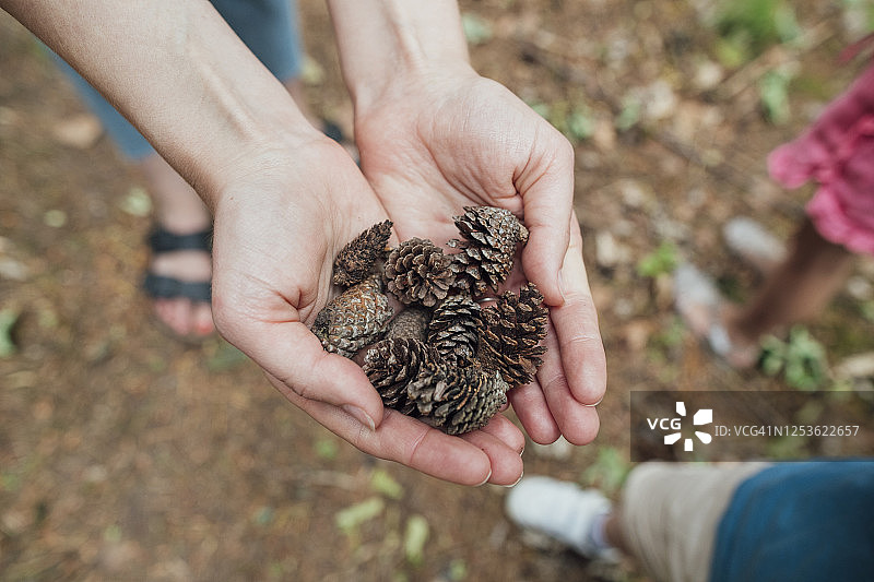 探索自然图片素材