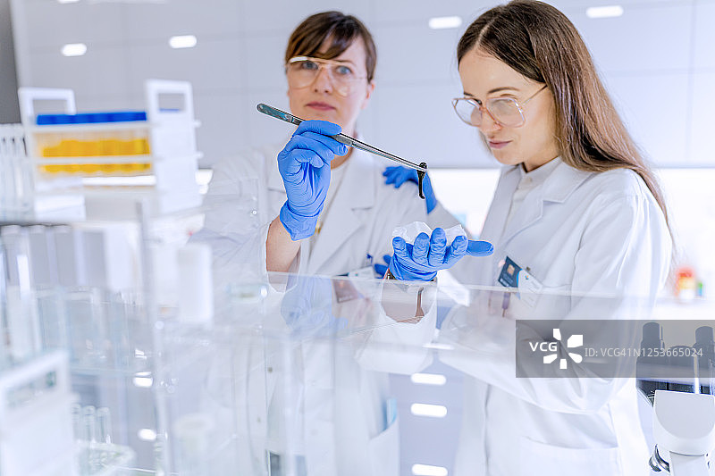 科研团队研究水蛭提取天然药物，现代实验室特写镜头图片素材