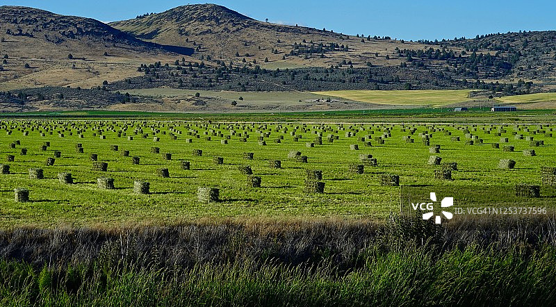 下克拉马斯干草堆图片素材