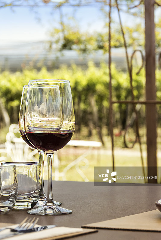 葡萄酒旅游、葡萄园、风景和露天酒杯图片素材