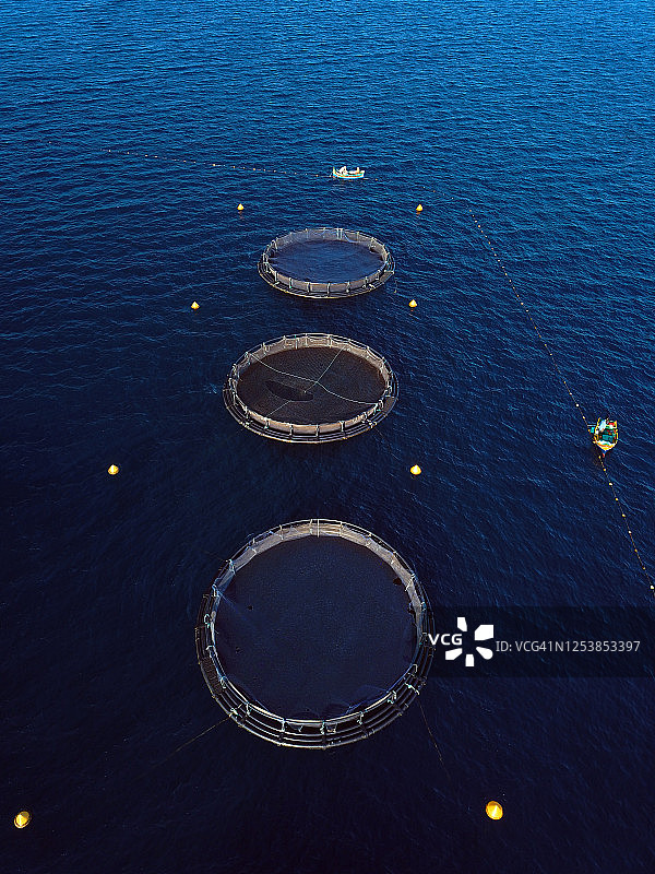 鱼类养殖笼的航拍景色。水产养殖无人机视角。图片素材