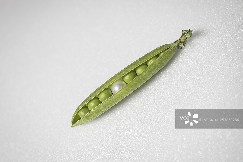 法国蒙塔吉斯半开豌豆荚中的珠子（俯视角度）图片素材