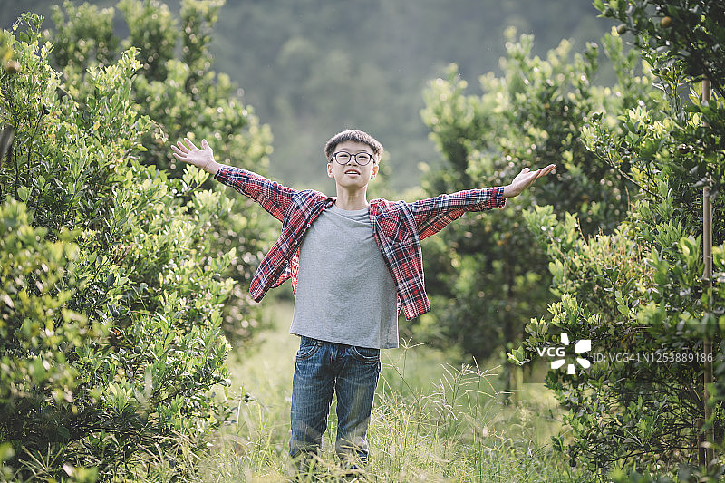 亚洲华人孙辈在老家探望祖父母，采摘四季橘图片素材