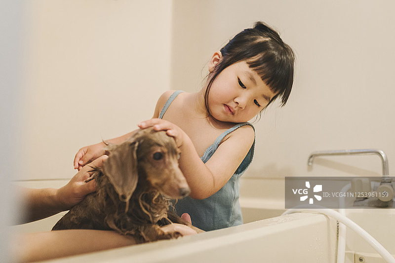 女孩在浴室给狗洗澡图片素材