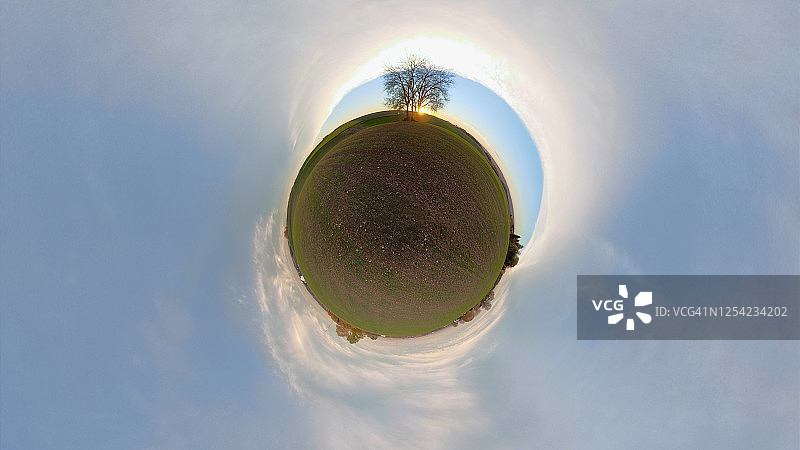 日落时分田野上的孤零零的酸橙树，小星球视角图片素材