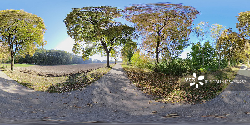 360度VR/彩色秋树的乡村道路图片素材