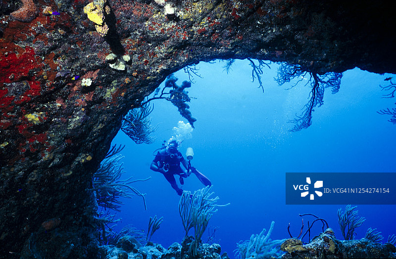 洛斯罗克斯群岛潜水图片素材
