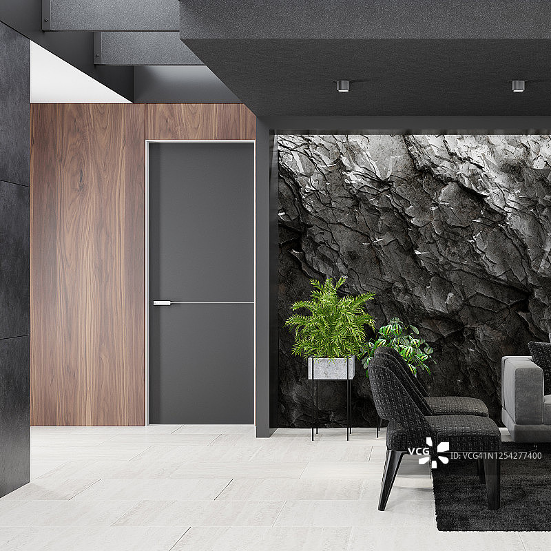 豪华公寓客厅山岩石墙图片素材