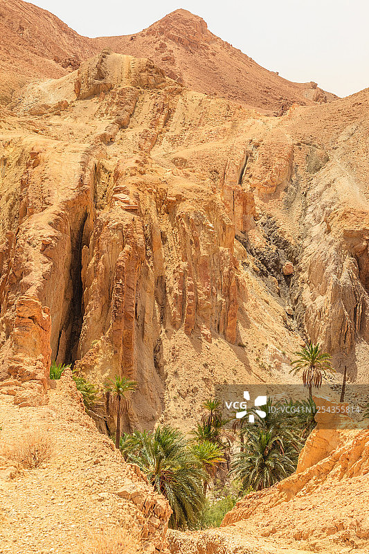 突尼斯塔梅尔扎的舍比卡绿洲图片素材