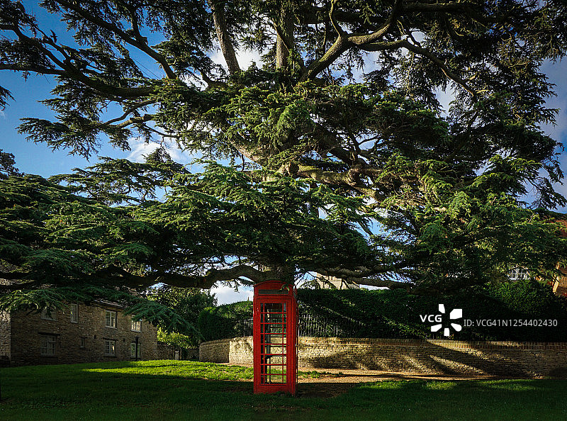 雪松树下的红色英式电话亭图片素材
