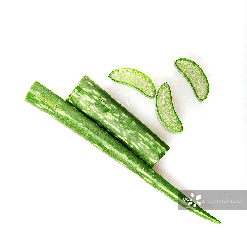 芦荟植物图片素材