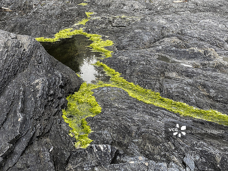 低潮时的礁石图片素材