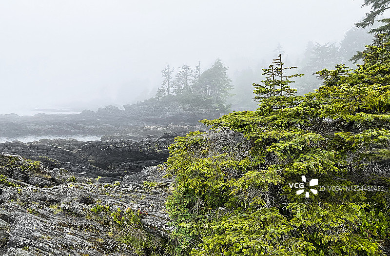 雾中的岩石海岸线图片素材