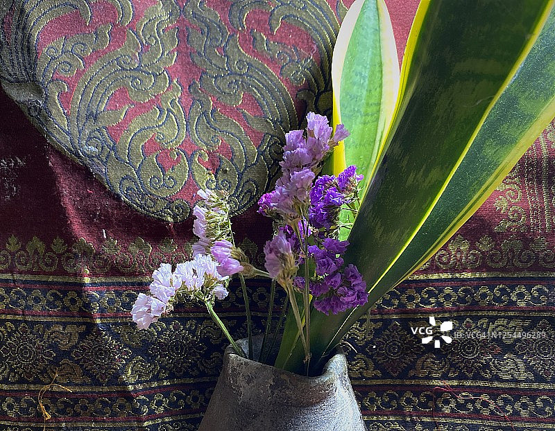 紫色勿忘我和蛇形植物花瓶桌面家居装饰图片素材