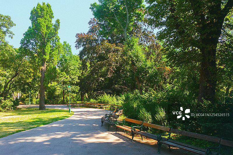 夏季的维也纳城市公园，奥地利图片素材