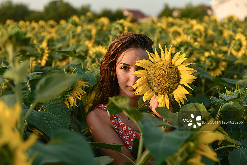 长发女孩在向日葵草地上放松图片素材