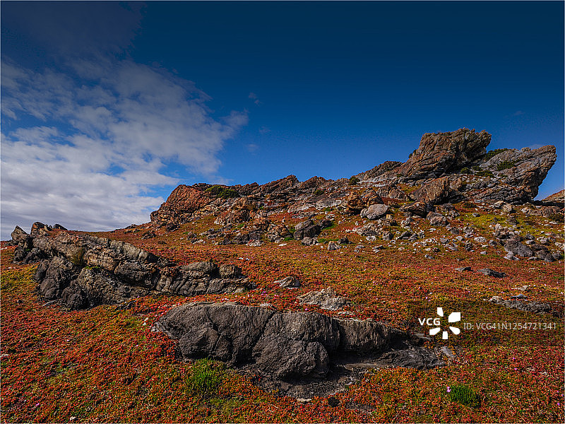 澳大利亚塔斯马尼亚西海岸荒野地区的塔金图片素材