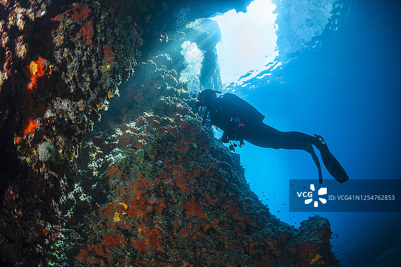 水肺潜水：探索和欣赏珊瑚礁海洋生物水上运动，潜水员视角与海扇珊瑚图片素材