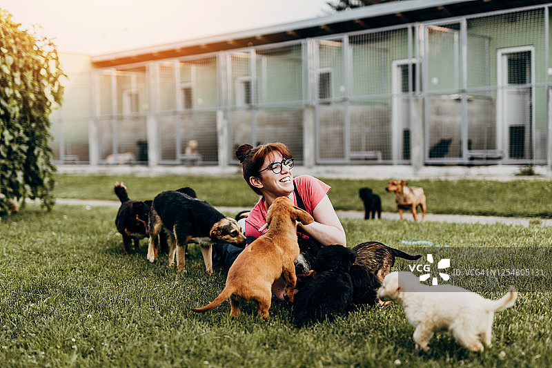 在动物收容所的年轻女人图片素材