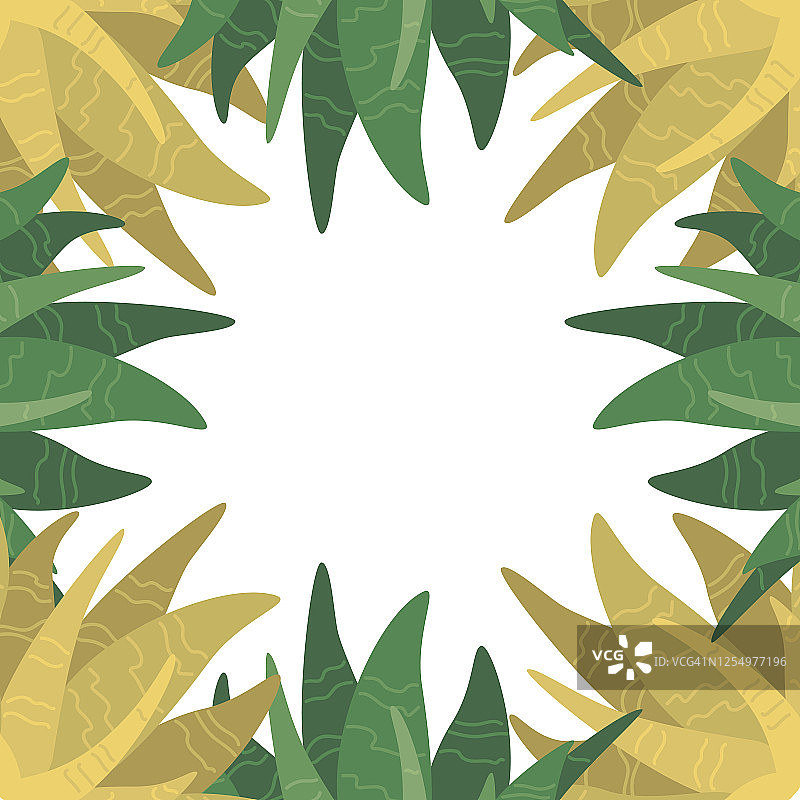 芦荟边框植物框架设计图片素材