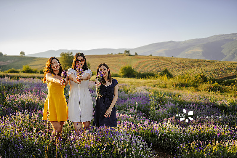 阳光田野里的幸福图片素材