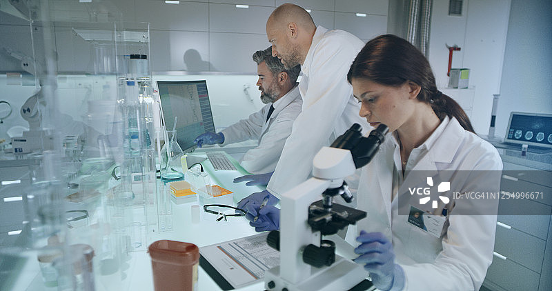 实验室团队处理医疗样本，女医生使用显微镜图片素材