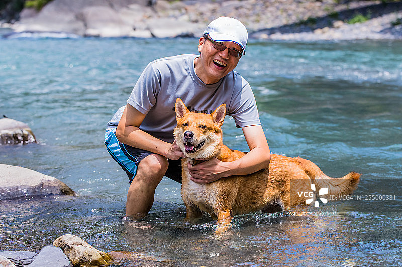 老年犬和人们在水中玩耍图片素材