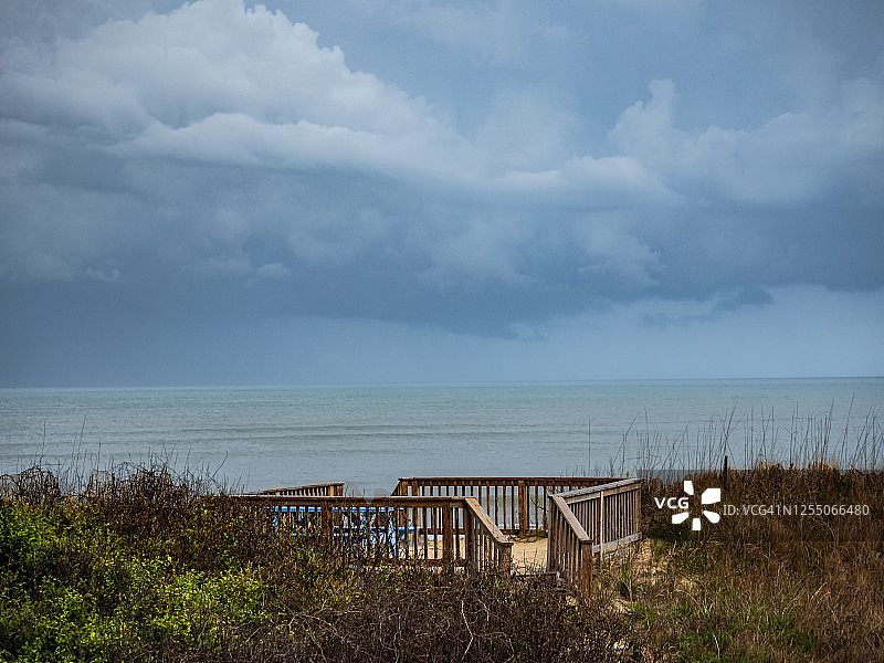 暴风雨前的鸭子 (1)图片素材