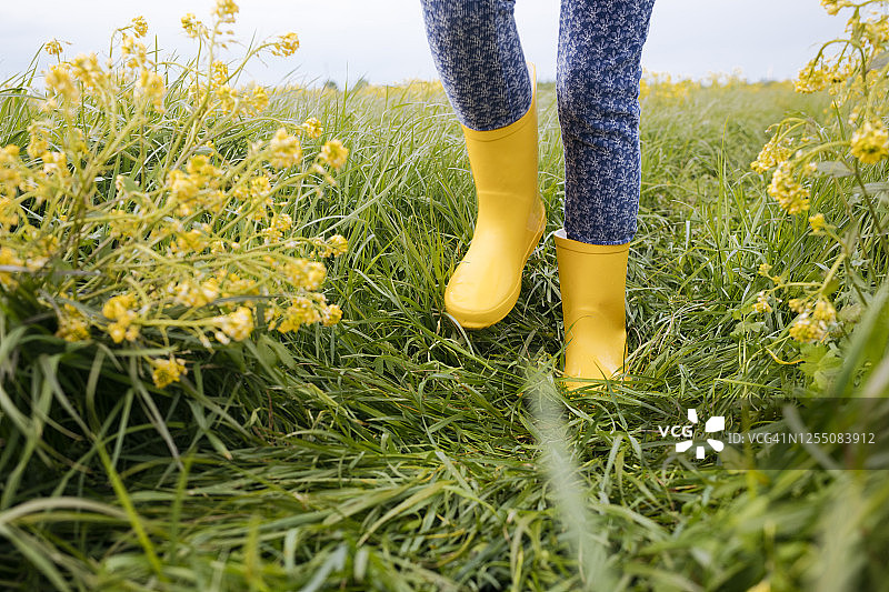 油菜田中穿着黄色橡胶靴的女孩的腿图片素材