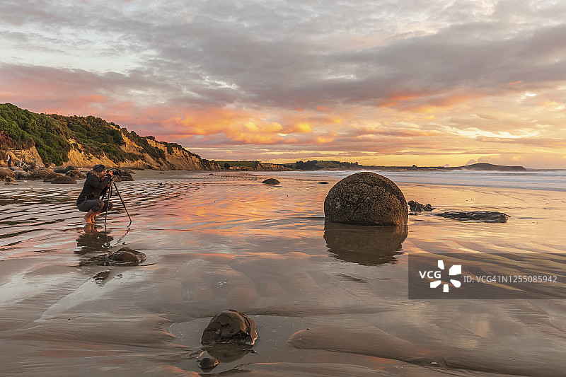 新西兰南岛，摩拉基海滩日出时分的圆形巨石图片素材