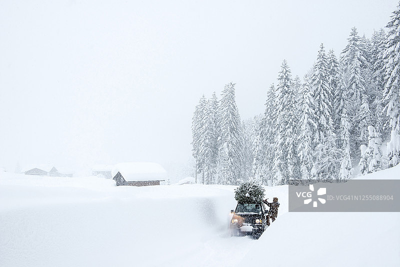 奥地利萨尔茨堡州拉默塔尔：男子在雪地里将圣诞树固定在车顶上图片素材