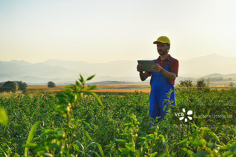 使用平板电脑的年轻农民图片素材