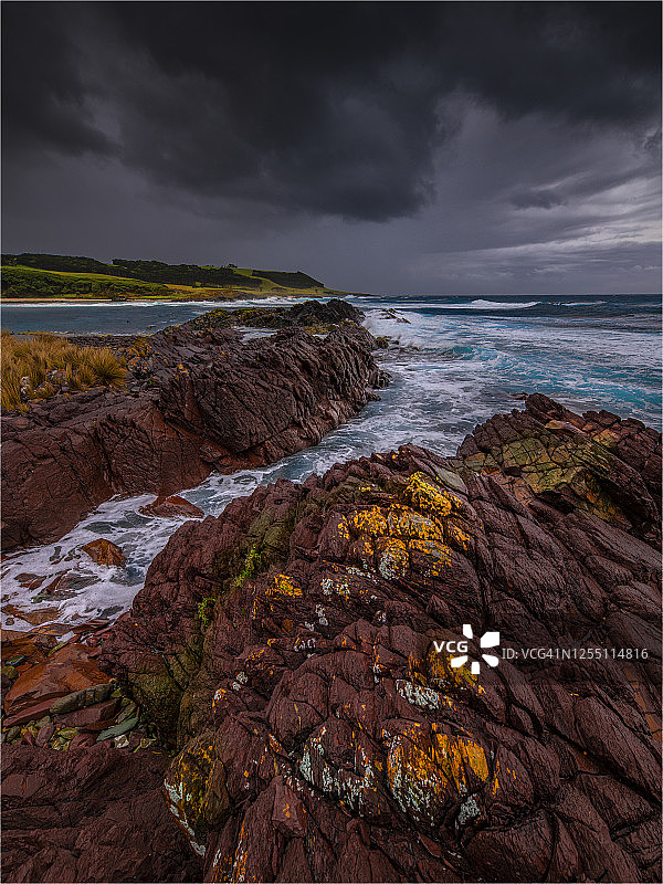 澳大利亚塔斯马尼亚州墨尔本海湾金岛风光图片素材