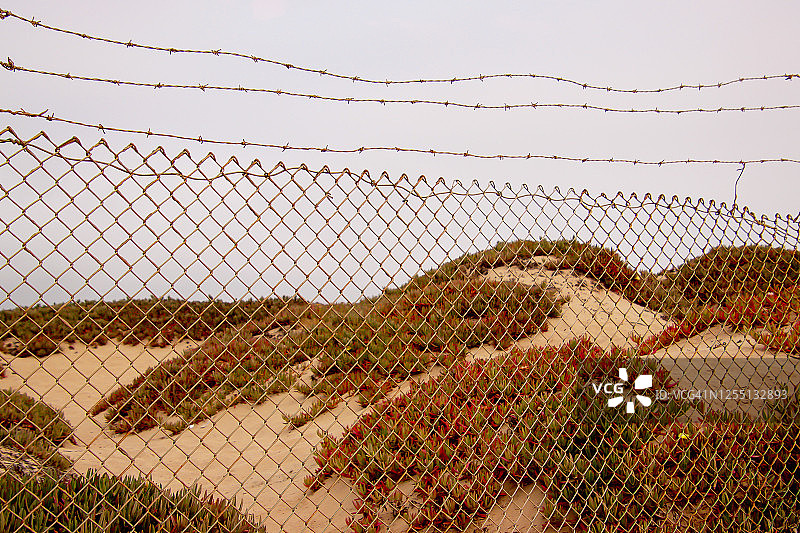 海滩上的带刺铁丝网图片素材
