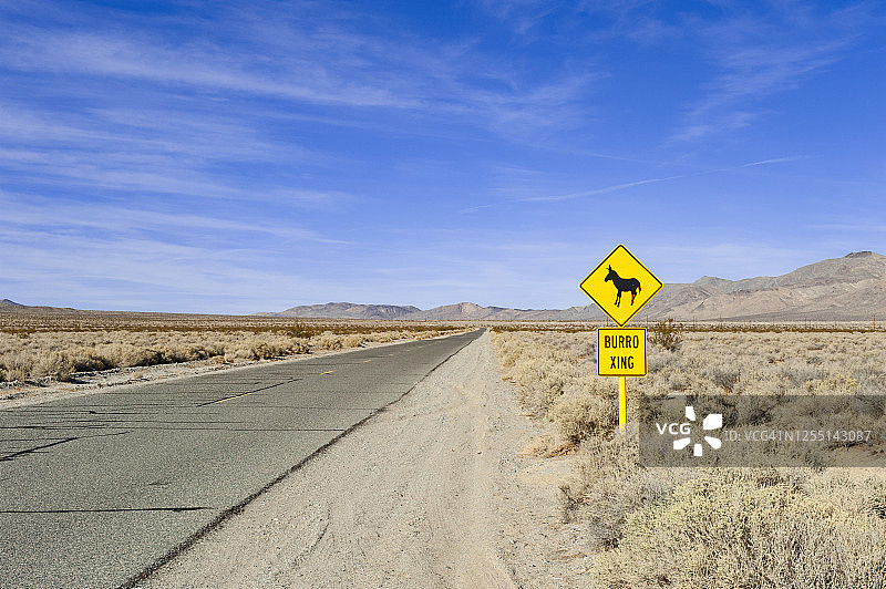 沙漠中的小毛驴图片素材