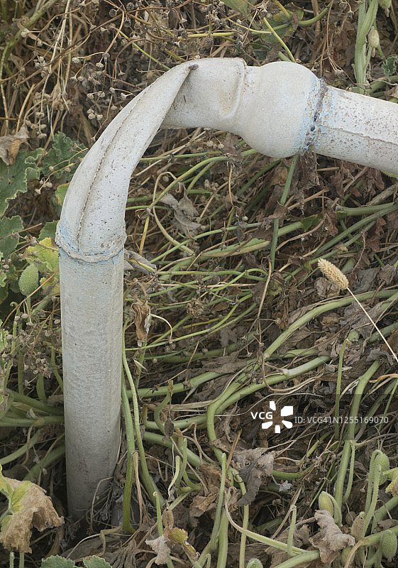 希腊农业水管图片素材